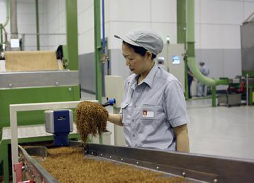 煙草碳鋼鏈條